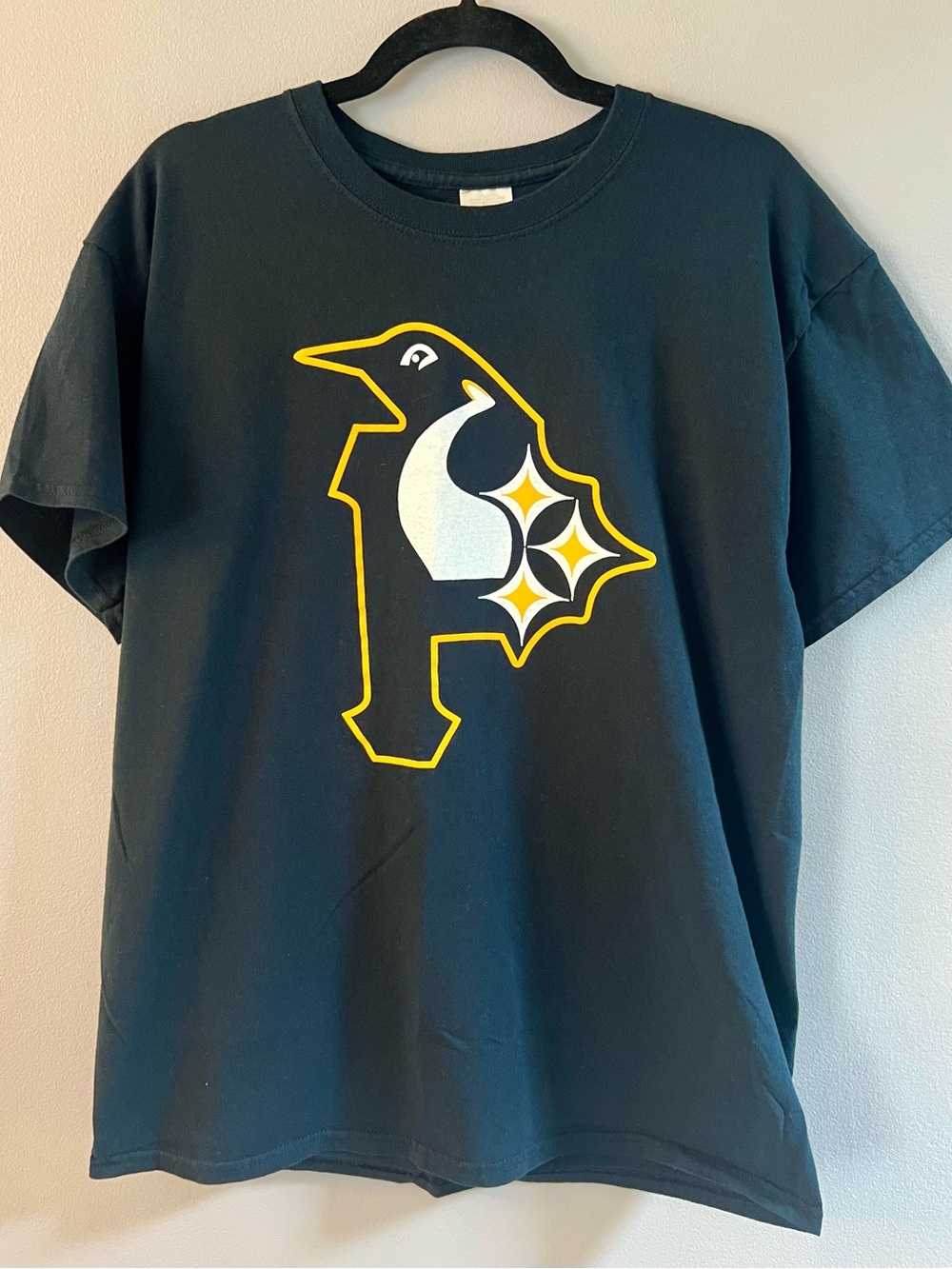 Pittsburgh Teams: Penguins, Pirates, Steelers Graphic T-Shirt